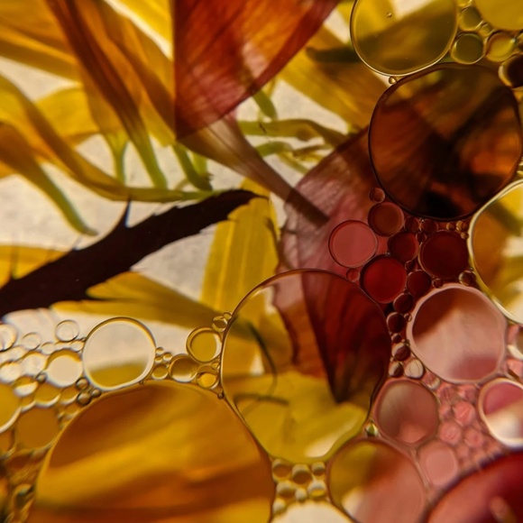 Sand + Fog Jasmine & Cedarwood 50 ml Oil Dropper - Picture 2 of 6